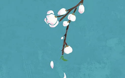 1646880491795534.jpg 1980属猴的子女运怎么样