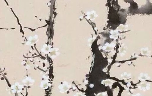 1647220713469720.jpg 79年属羊的2022年怎么样