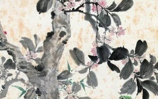 属猴的离婚率高吗