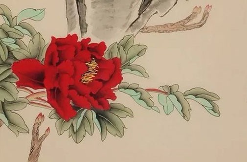 1647918044884016.jpg 86年属虎女财运怎么样