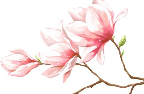 1647919368326217.jpg 98属虎女本命年可以结婚吗