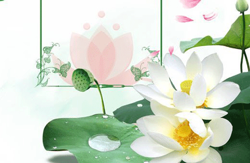 1648368747321832.png 2022年农历四月初四适合提车吗