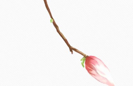 1648521531611091.jpg 2022年属虎的在4月感情怎么样