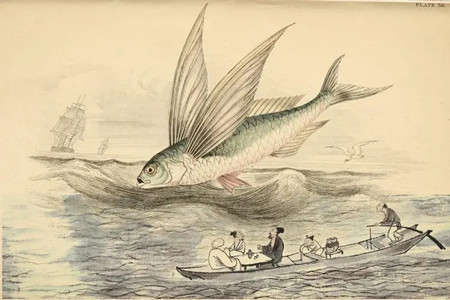 1650937554328020.jpg 3.jpg