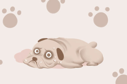 梦见狗吃屎是什么意思