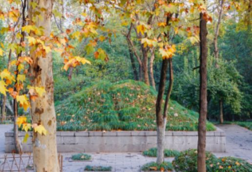1651801965388293.jpg 孕妇梦见坟地什么意思