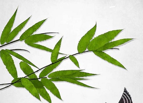 2022年8月26日适宜结婚嫁娶吗