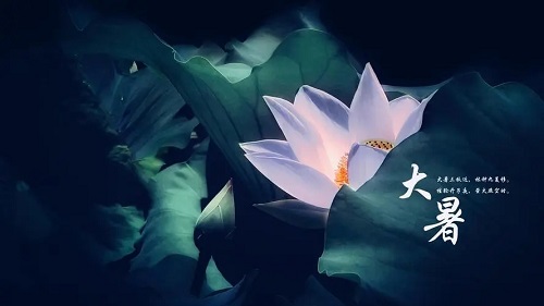 1652948740159790.jpg 大暑为什么要吃荔枝
