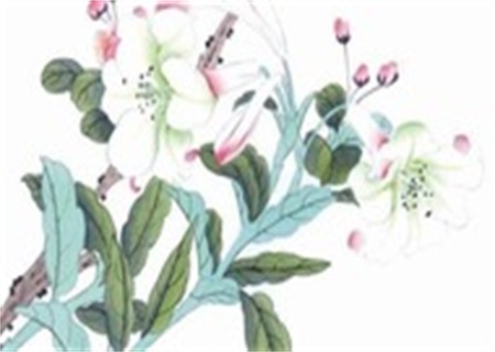 1653281152112723.jpg 2022年8月30日适合开工动土吗