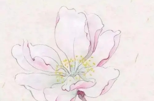 1653456253528308.jpg 2022年6月2日搬家好不好