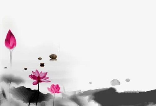 1653529465659103.jpg u=803185244,1206348768&fm=253&fmt=auto&app=138&f=JPEG.webp.jpg