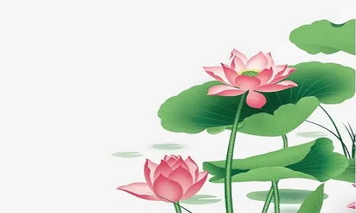 1653790869482305.jpg 2022年5月30日生肖运势播报