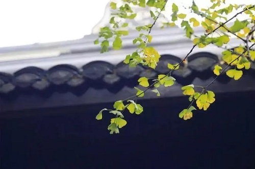 1653985712204263.jpg 2022年农历五月二十二出行好吗