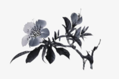2022年8月属猴的结婚吉日有哪几天
