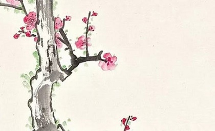家中养什么动物旺财