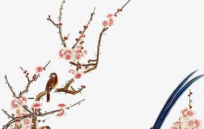 80年属猴女在2023年财运怎么样