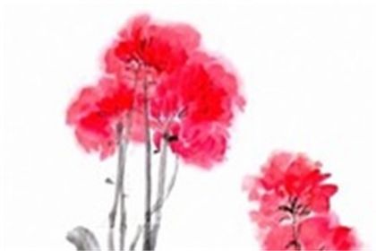 代表财运旺盛的字有哪些