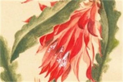 2022年6月26日适合剖腹产吗
