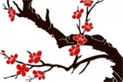 属鼠的手机号码幸运数字
