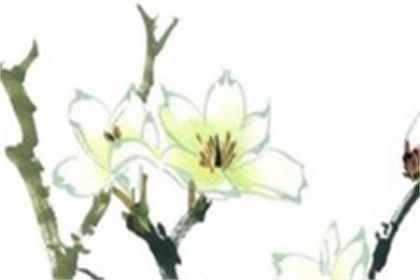 最旺属鼠人手机号数字查询