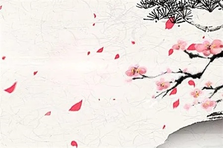 2022年7月11日属什么生肖