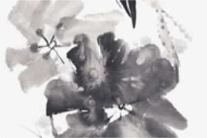 五行缺水属虎女宝宝最吉利名字推荐