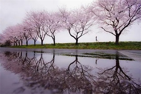 老黄历查询2022年7月16日吉时