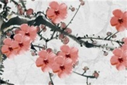 八字纯阳的概念和特点