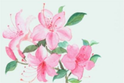 八字硬不硬怎么看