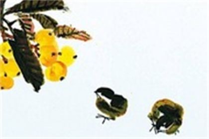 吉祥号码到底是什么