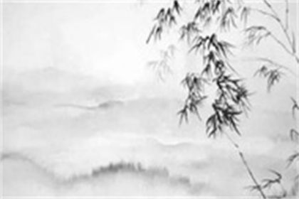 车牌号哪几个数字最吉利