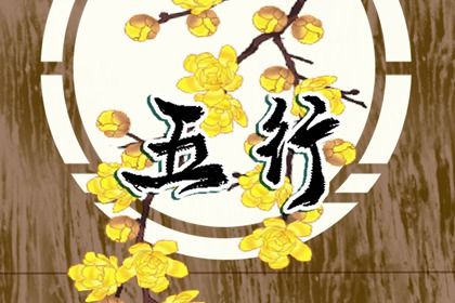 五行穿衣指南2022年10月10日