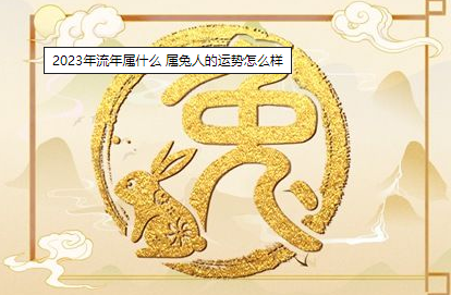 2023年流年属什么 属兔人的运势怎么样