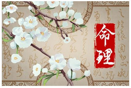 2023兔年生男孩多还是女孩多 属兔最旺的月份