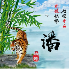 2023年7月20日生肖虎运势