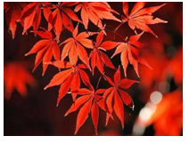 2023年8月29日生肖兔运势