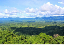 2023年10月8日天秤座运势