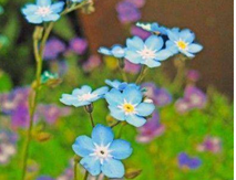 2023年11月19日生肖蛇运势